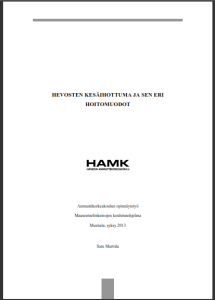 Marttila_Satu.pdf