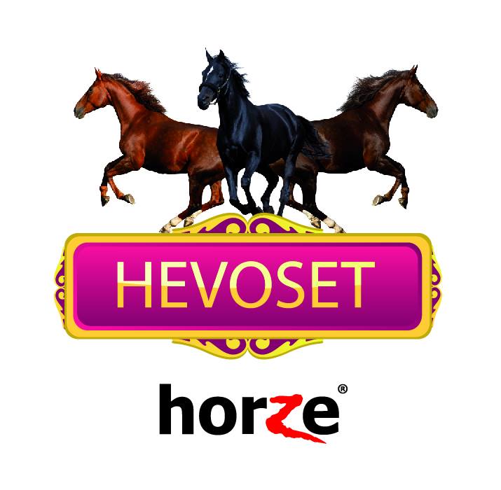 10360763_756342501105273_1245325166368066692_n