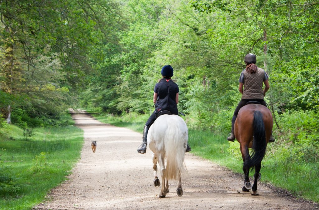 horse-back-riders