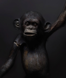Echo_2012_PS_7