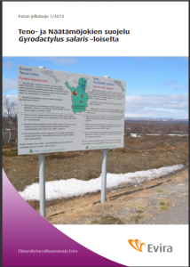 _www_webapps_webapp_evira_5_data_products_1370415122807_eviran_julkaisuja_1_2013_2013-06-13_21-47-57