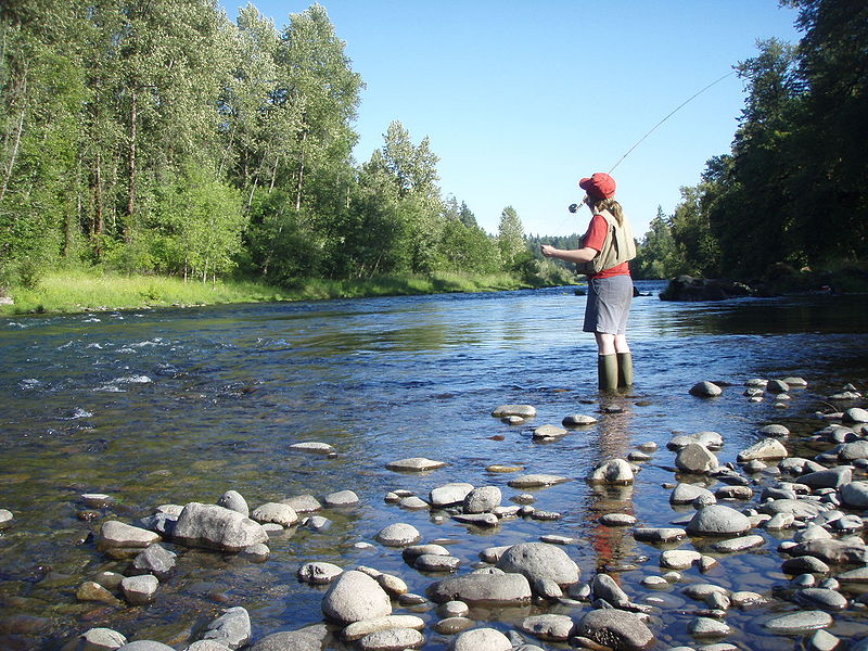 800px-Fly_fishing_on_the_South_Santiam