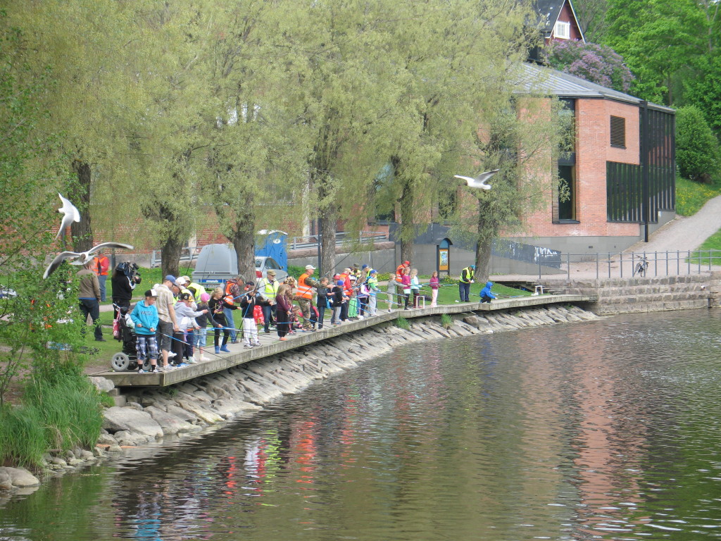 vanhankaupunginkosken-suvanto
