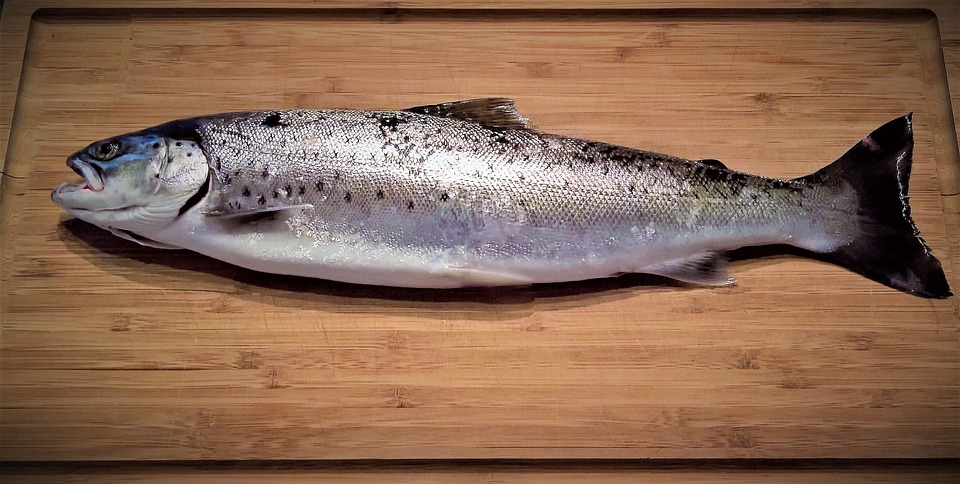 fish-2201050_960_720
