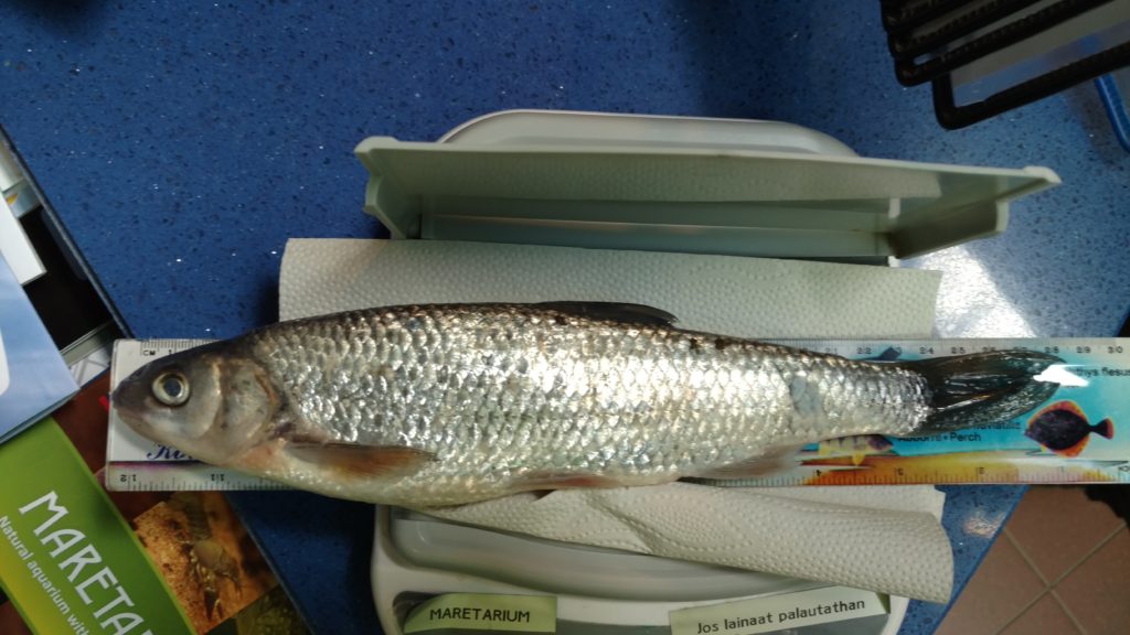 IMG_20170520_121644686