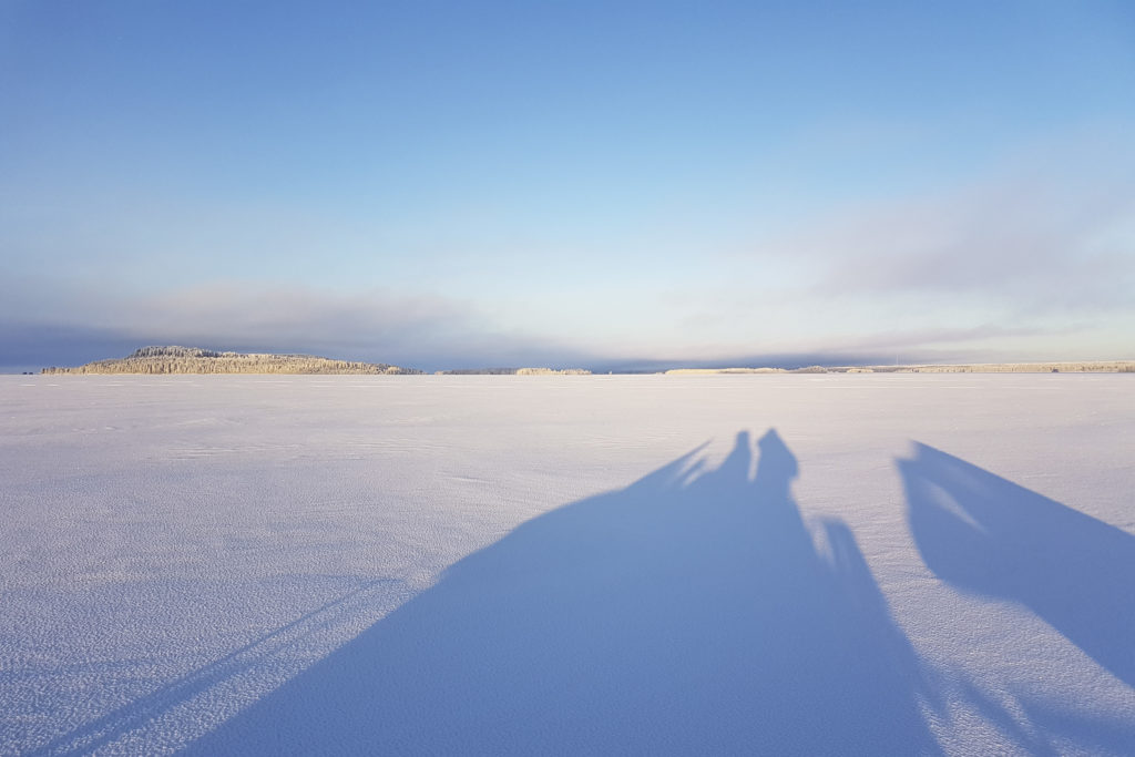 keskitalven-pakkaspaiva-hoytiaisella.-kuva-paivi-kiiskinen