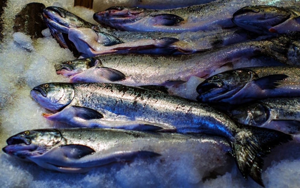 frozen-fish